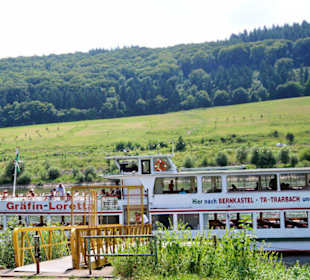 Mosel bei Zeltingen