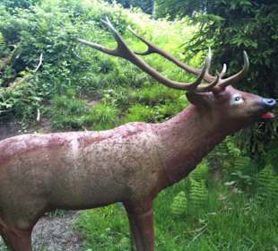 Lebensgroßer Hirsch