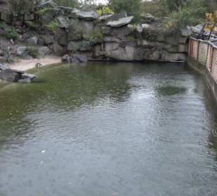 Tierpark