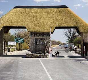 Ausflug - Eingang zum Etosha Park