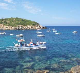 Fahr zur Isla Dragonera