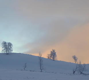Mittagsstimmung (!) im Januar