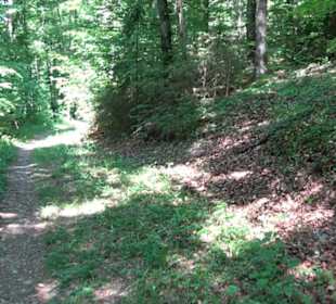 Wanderweg Sieben-Täler-Runde 