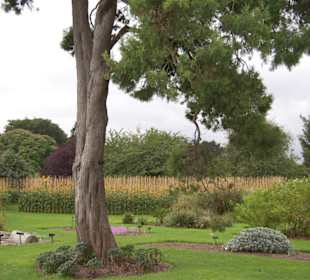Jardin botánico