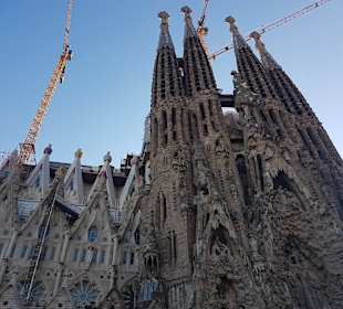 Katedra Sagrada Familia