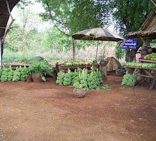 Kleine Verkaufshütte auf dem Weg zum River Kwai