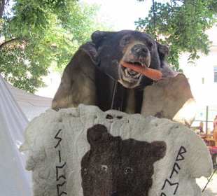 Mittelalterlichen Tage in der Festung