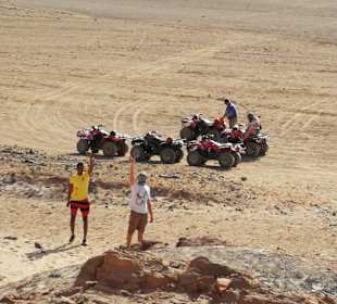 Quad tour