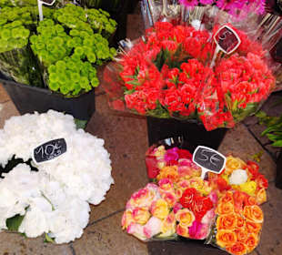 Eindrücke vom Blumenmarkt in Aix-en-Provence