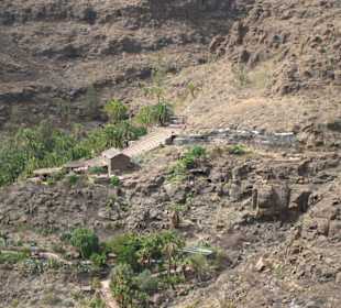 Palmitos Park - nach dem Feuer