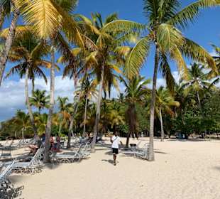Strand von Bacardi Insel 