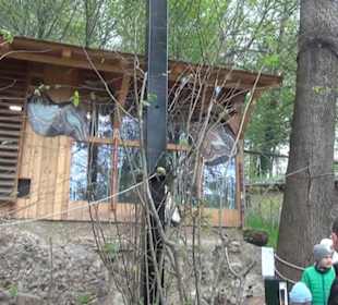 Südamerikabereich - Vogelhaus