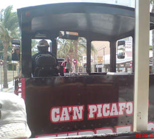 Can Picafort Express