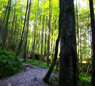 Steigung vom Wanderweg