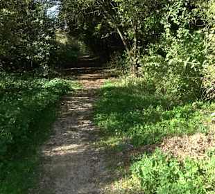 Baumlehrpfad Zollertal