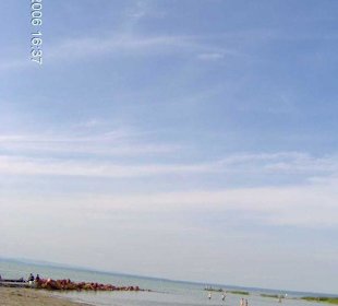 Balaton