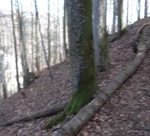 Premiumwanderweg Hohenwittlingensteig