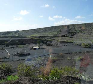 Fahrt von Ost über Nord nach West