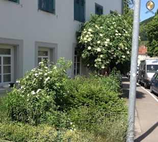 Ehemalige Sonne Gönningen