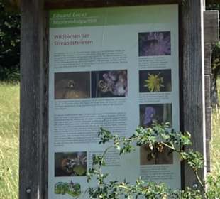 Eduard Lucas Musterobstgarten Mähringen