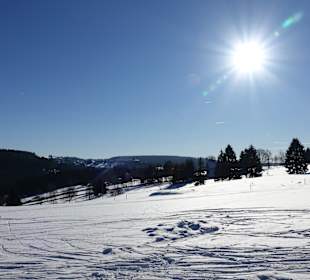 Wandern Neuhaus am Rennweg