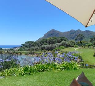 Cape Point Vineyards in Noordhoek