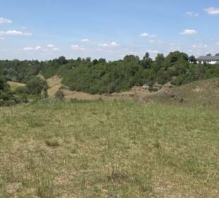 Burg Kräheneck Reusten