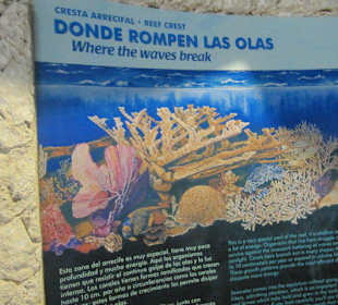 Xcaret