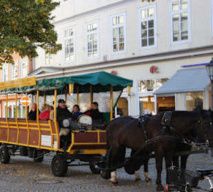 Der Pferdewagen