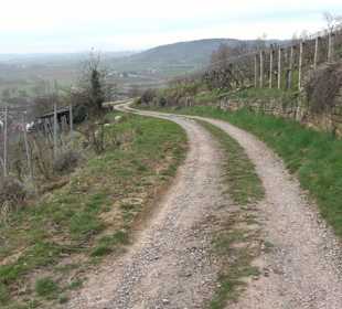 Unterjesinger Wengertwegle