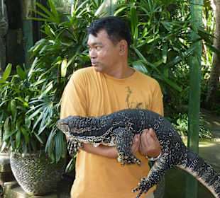 Bali Reptilienpark