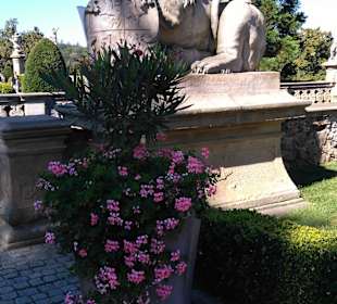 Auf dem Weg zum Schloß