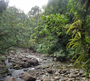 Bei den Wasserfällen
