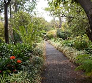 Im Jardín de aclimatación de La Orotava