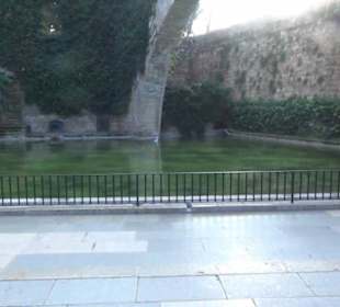 Privathafen La Almudaina