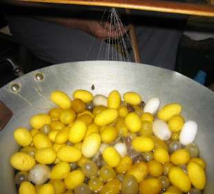 Hier kann man die feinen Fäden sehen.