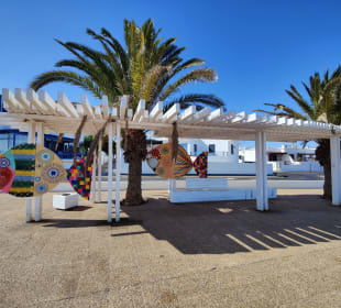 Wandern Puerto del Carmen