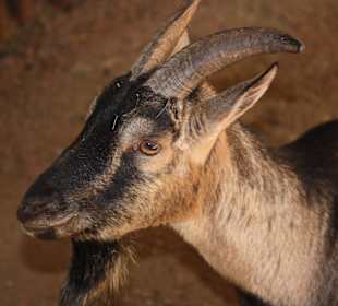 ZOOM Erlebniswelt Gelsenkirchen