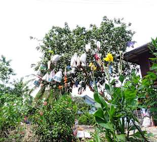 Eine Runde Kahn fahren