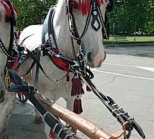 Stadtrundgang Albena