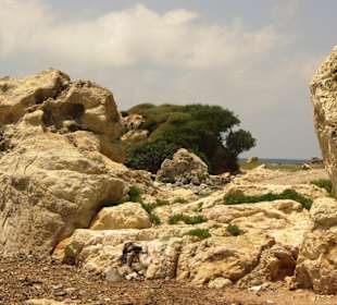 Felsen pur