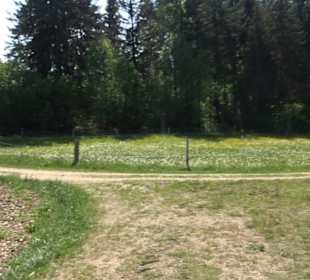 Premiumwanderweg Hochgehschätzt