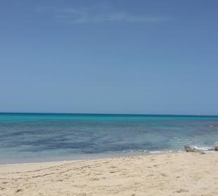Cala Mesquida (Fußweg 40 Minuten durch den Wald)