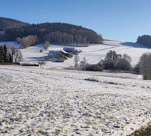 Wandern Haibühl