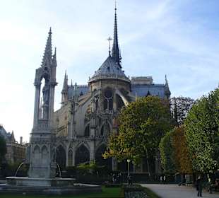 Katedra Notre Dame z drugiej strony