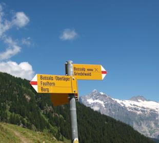 Sehr gute Wegbeschilderung