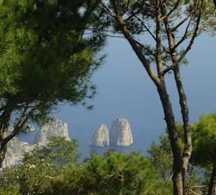 Ein schönes Urlaubsbild