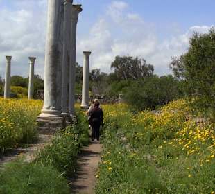 Weg am Gymnasium lang
