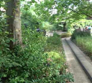 Erlebnispark Tripsdrill