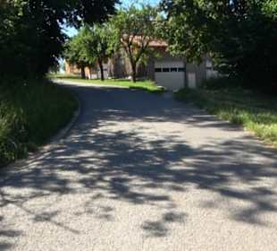 Waldameisen-LehrPfad